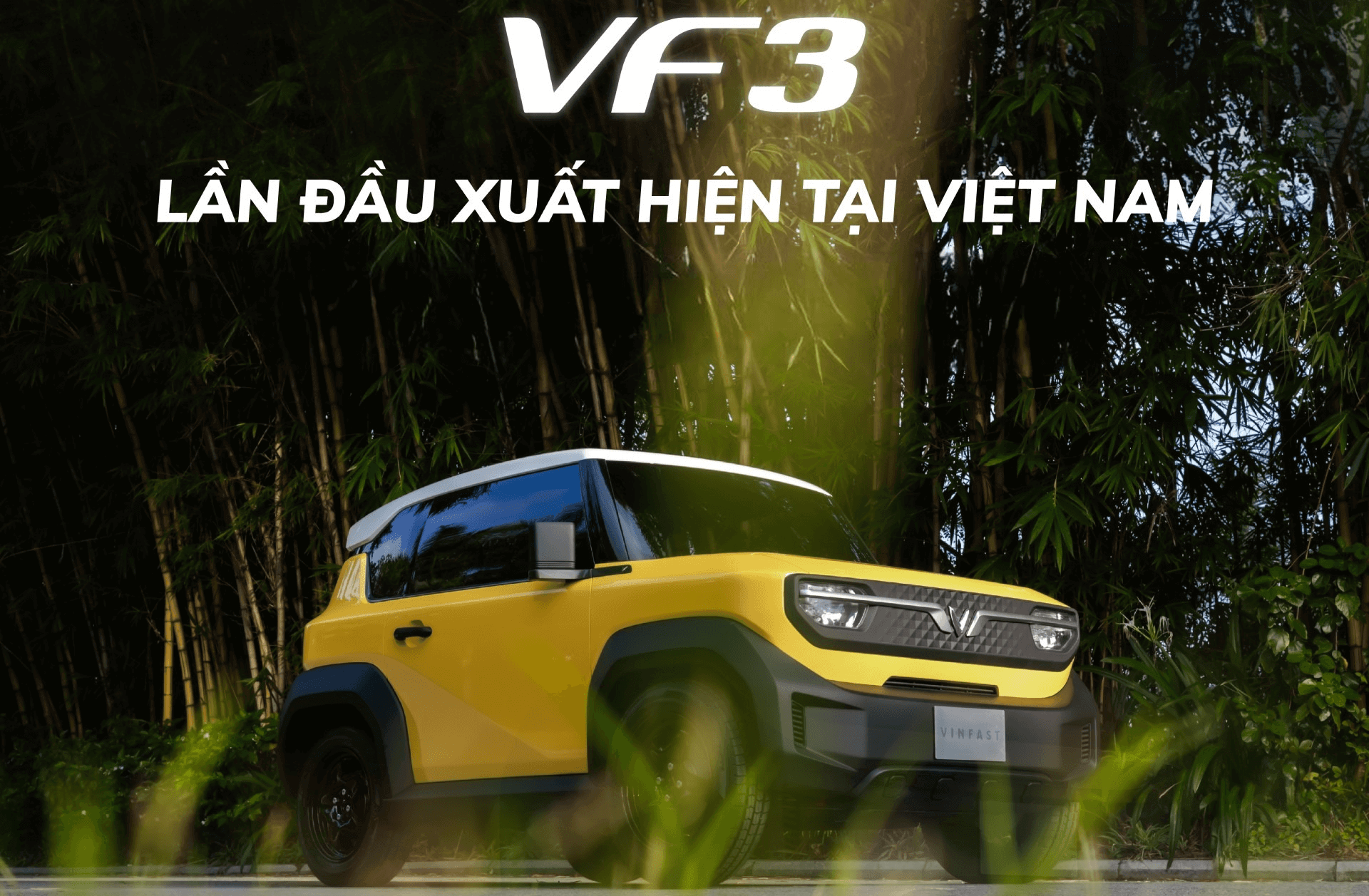 VF3
